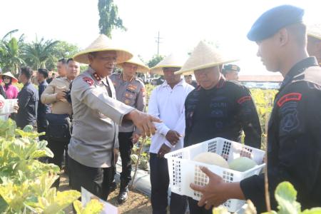 Brimob Polda Jatim Panen Melon dan Semangka Dukung Program Ketahanan P